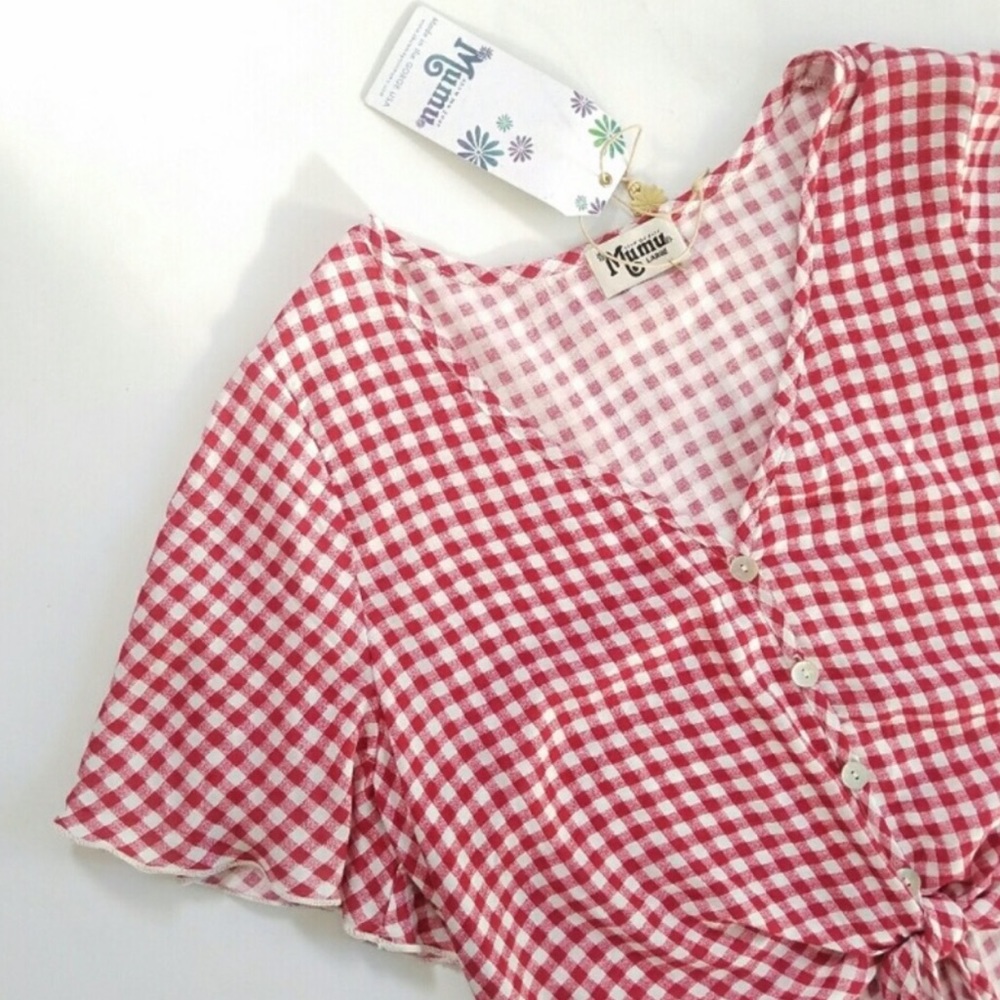 Show Me Your Mumu Tortuga Gingham Tie Crop Top S
